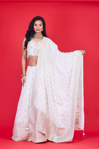 Lehenga-Choli