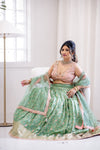 Lehenga Choli