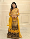 Lehenga Choli