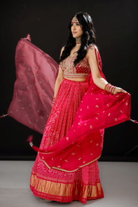 Lehenga Choli