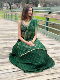 Lehenga Choli