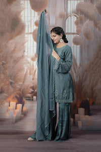 Elegant Blue Color Ladies Suits
