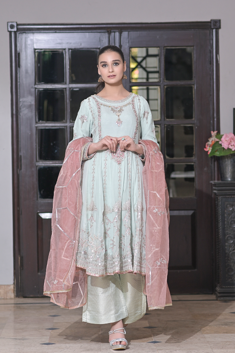 Roop-Sari-Ladies-Suit