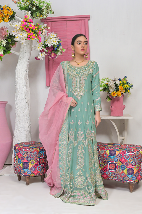 Roop-Sari-Ladies-Suit