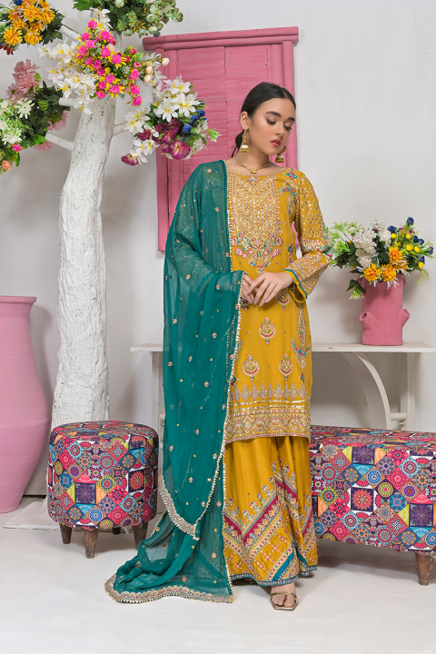 Roop-Sari-Ladies-Suit