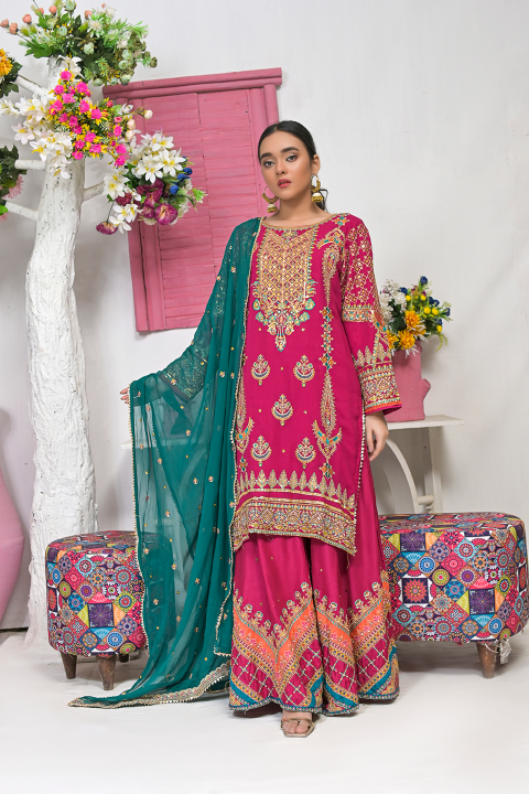 Roop-Sari-Ladies-Suit