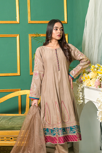 Roop-Sari-Ladies-Suit