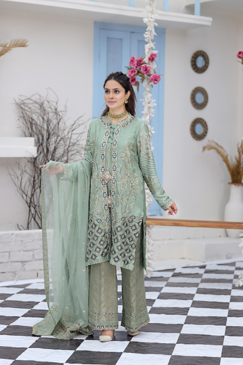 Roop-Sari-Ladies-Suit
