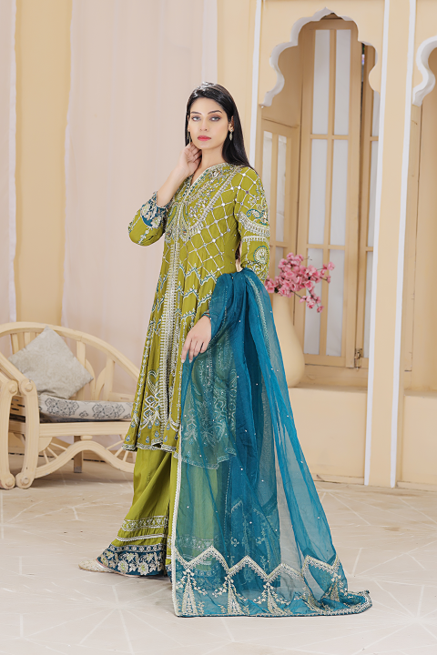 Roop-Sari-Ladies-Suit