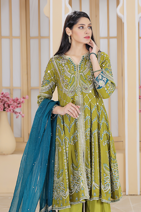 Roop-Sari-Ladies-Suit