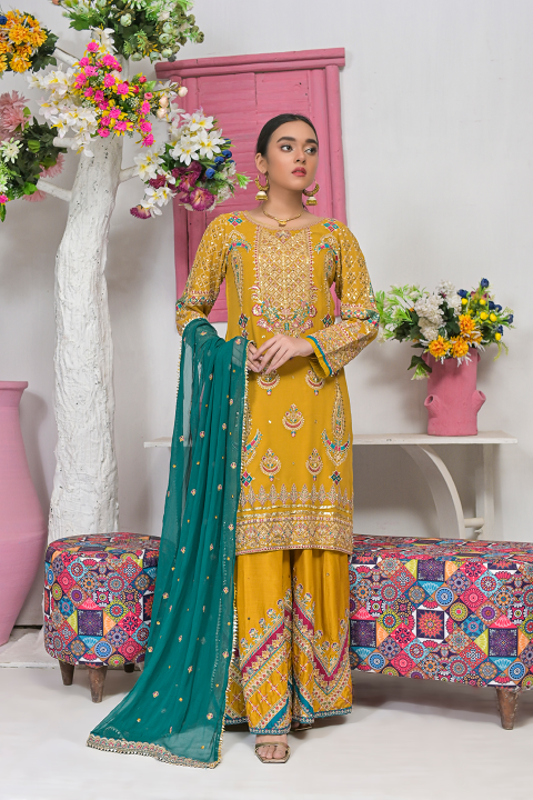 Roop-Sari-Ladies-Suit