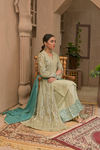 Roop-Sari-Ladies-Suit