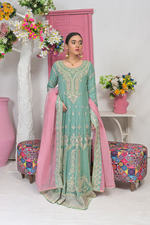 Roop-Sari-Ladies-Suit
