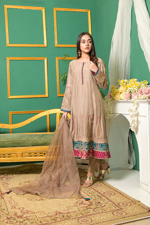 Roop-Sari-Ladies-Suit