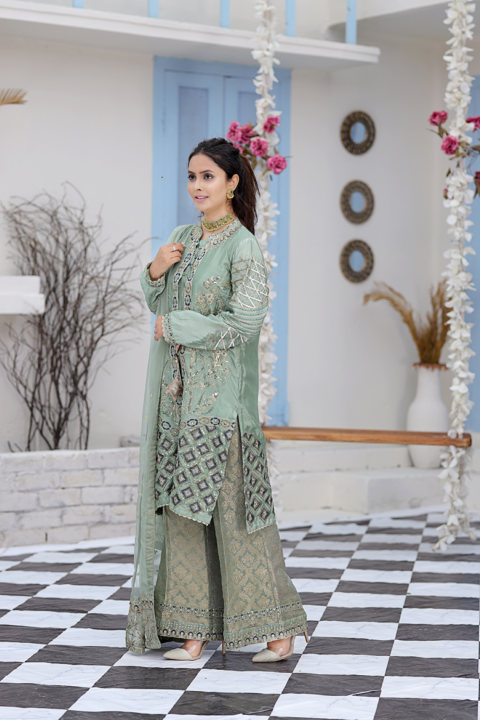 Roop-Sari-Ladies-Suit
