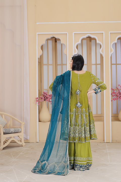 Roop-Sari-Ladies-Suit