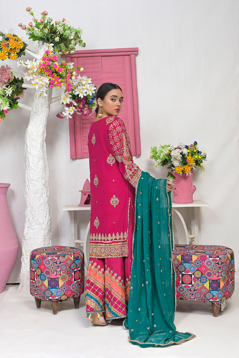 Roop-Sari-Ladies-Suit