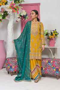 Roop-Sari-Ladies-Suit
