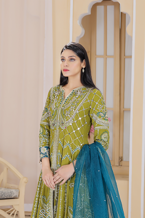 Roop-Sari-Ladies-Suit