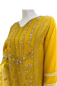 Roop-Sari-Ladies-Suit