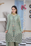 Roop-Sari-Ladies-Suit