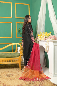 Roop-Sari-Ladies-Suit