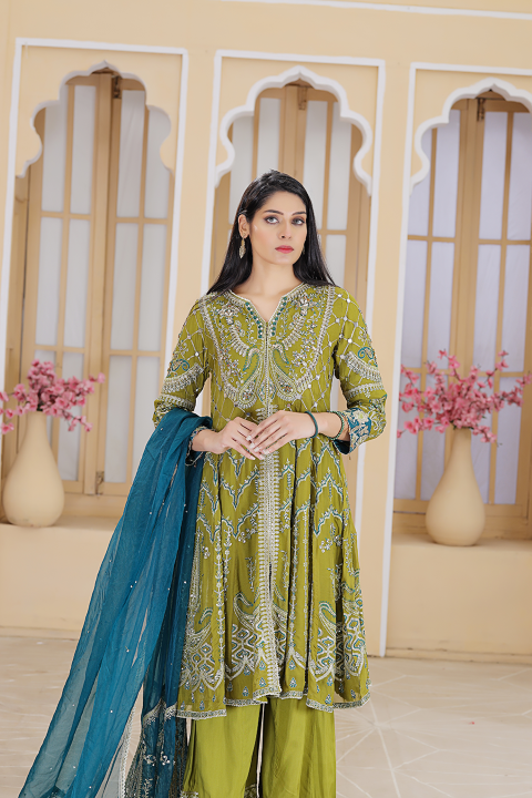 Roop-Sari-Ladies-Suit