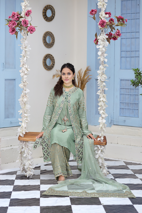 Roop-Sari-Ladies-Suit