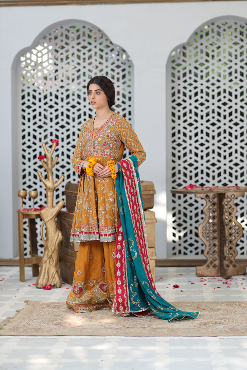 Roop-Sari-Ladies-Suit