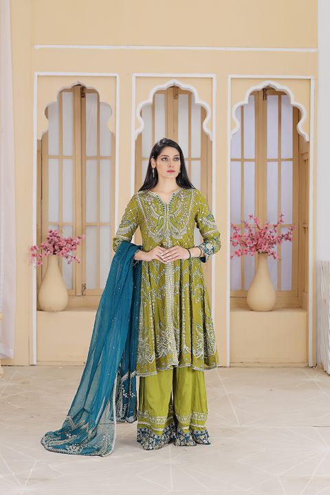 Roop-Sari-Ladies-Suit