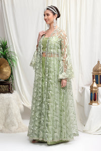 Roop-Sari-Ladies-Suit