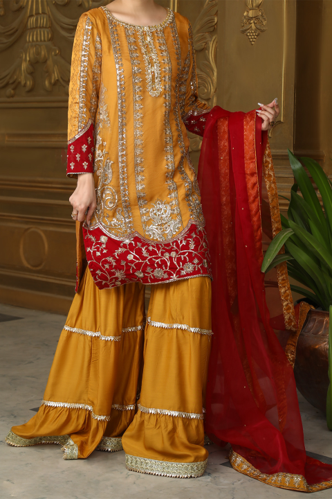 Roop-Sari-Ladies-Suit