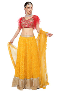 Roop-Sari-lehenga-Choli