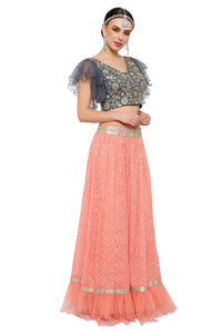 Roop-Sari-lehenga-Choli